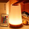 Dimmable Touch Lamp for Bedroom, Portable Table Bedside Desk Lamps, 5 Brightness and 13 RGB Colors